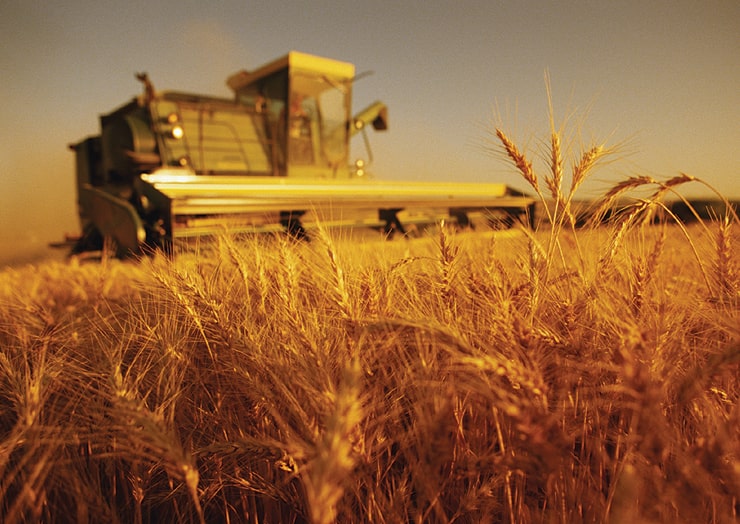 agriculture